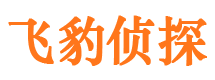 炉霍市侦探调查公司